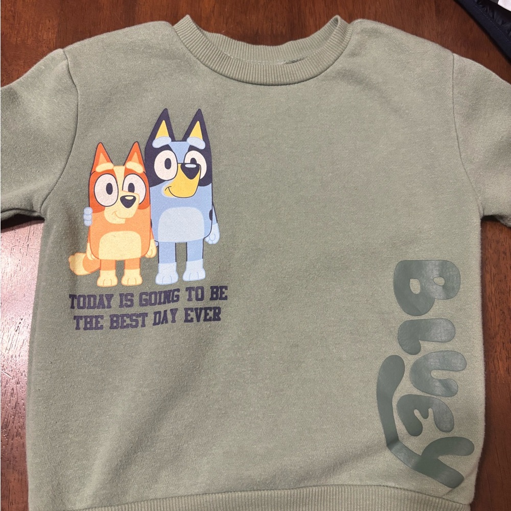 Target Kids Sweatshirt - Olive with Bluey Print